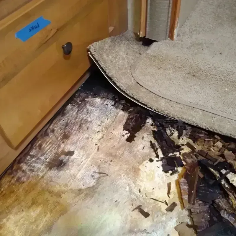 Wood Floor Water Damage in Bylas, AZ